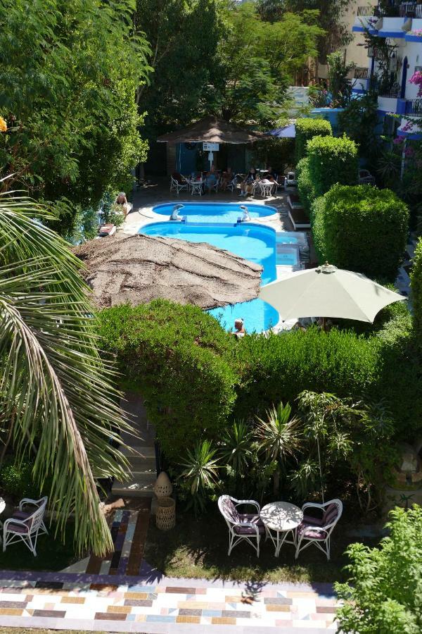 El Gezira Garden Hotel Луксор Экстерьер фото